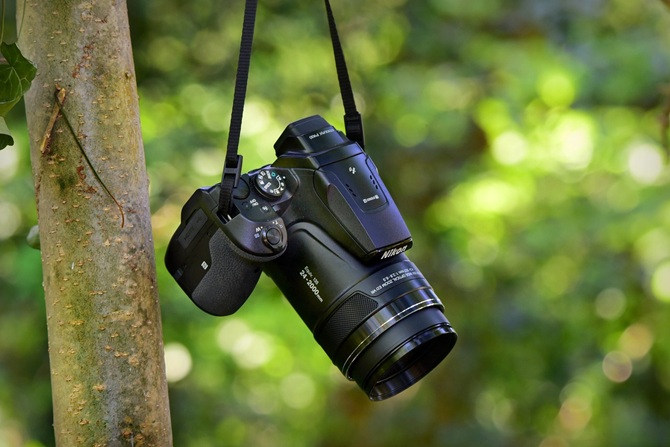 Een fotocamera hangt aan een boom, gereed voor de familie fotoshoot