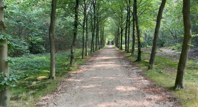 Het laantje zonder eind, een recht bospad omgeven door bomen, in Zeist