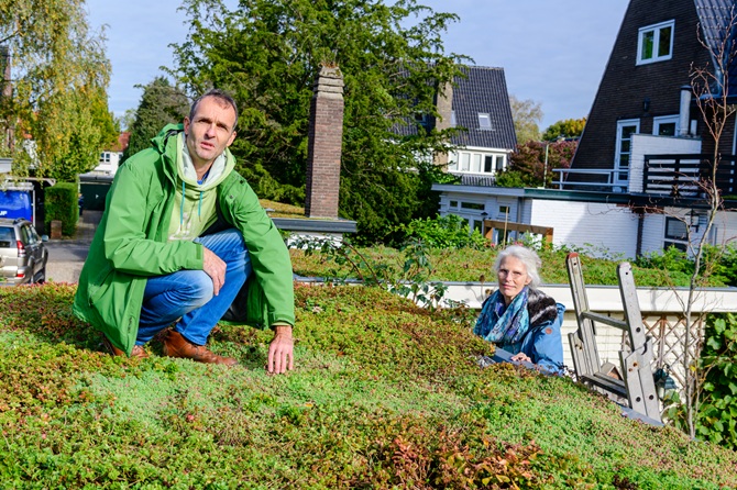 Een man zit op een sedum dak, een vrouw klimt ook via de ladder omhoog