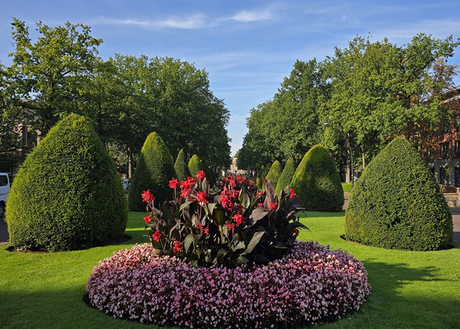 Bloemen op de Slotlaan