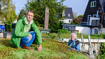 Man op een sedum dak